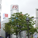 ����m�[�g1